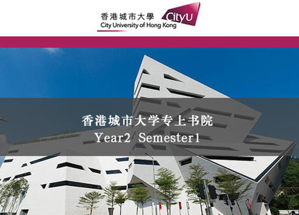 采购与供应管理课程