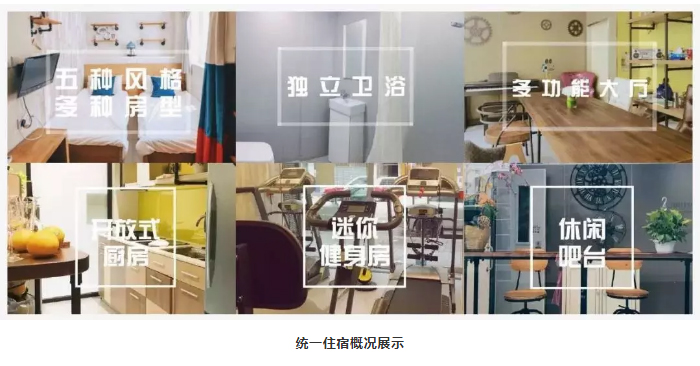 斑马书院-_-一群新香港青年们的教育梦想_30.jpg